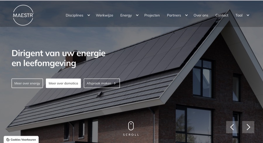 Website Maestr